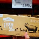 코리아마트원곡점 | 코스트코 소시지 아무거나 카트에 담지 마세요! 햄 3대장 전격 비교 후기