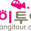 고양이투어