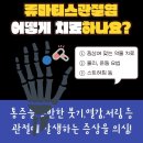 신호프라자 | 서초구류마티스내과, 당신의 건강을 책임질 곳입니다! [류마티스내과 명의]