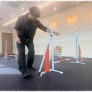 굿데이독 케어센터 이미지