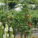 폭포민박 이미지