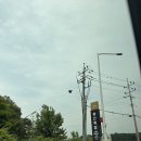 장미목장 | [광주 승마체험] 송산목장 양떼목장 내돈내산 후기