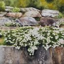 수채화어반스케치 이미지