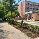 의정부효자초등학교 이미지