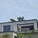 삼척 오션뷰 카페 맹방 앤솔 고양이있어요