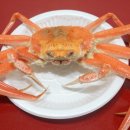 영덕대게 이미지