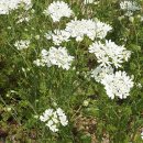 김해농장 이미지