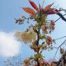 오창센트럴파크공인중개사사무소 이미지