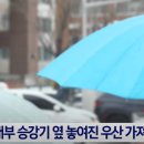 길에 있던 우산🌂 주웠다가..."경찰서에서 연락왔다" 이미지