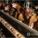 근원농장 이미지