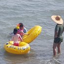 마당이바다 이미지