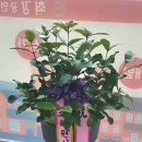 광혜원공인중개사사무소 이미지