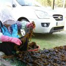 불이채민박 이미지