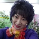 뽂기뽂기 이미지
