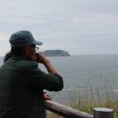 제주 서귀포 쇠소깍 이미지