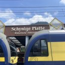 중앙고등학교앞 정류장 주변(옆, 뒤) | 쉬니케플라테 여행 후기ㅣ융프라우 vip패스 여행코스ㅣ기차 시간 가는방법 웹캠 날씨 7월