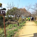진평왕릉 - 명활성 맨발걷기 산책로를 걷다 이미지