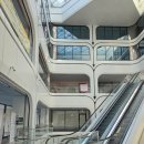 피카소미술학원 | 수원 아이파크시티7단지 맞은편 피카소미술이야기 미술수업 후기