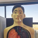 현북면보건지소 이미지