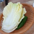 두암동 먹자골목 | 두암동 먹자골목 맛집 남원추어탕 두레박 솔직후기