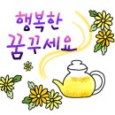 밸리댄스(야간) 이미지