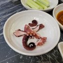 목포 로컬맛집 산오징어회 맛집 &#34;초심회포차&#34; 후기. 산정동맛집 목포여행 목포맛집 목포오징어 횟집추천...