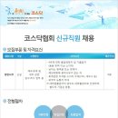 [코스닥협회 채용]코스닥협회 채용 신입사원 모집(10/13~10/23) 이미지