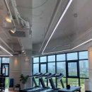 드라코짐 이미지