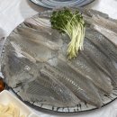 🍽️내돈내산!! 대전 용전동 &lt;다이아몬드 횟집&gt; 도다리회 가성비 현지인 맛집 (솔직후기/ 예약방법 / 주차)