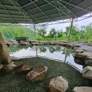 은석힐링마을 이미지