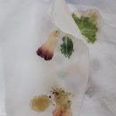 풀잎유치원 이미지