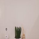 나우피티 스튜디오 이미지