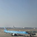 806 | [중국/톈진여행] 1월 톈진여행 I 대한항공 KE805 B737-8 &amp; KE806 A321-neo 이코노미 탑승 후기