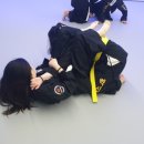 혁신코리안주짓수종합격투기공권유술