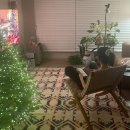 501타워 | 칼한센앤선 MG501 쿠바체어 라운지체어 내돈내산 후기 Carl Hansen &amp; Son