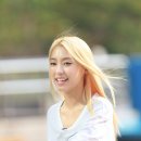 보라마켓 이미지