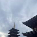 일본 도쿄 여행 3박 4일 일정 경비 비용 총정리
