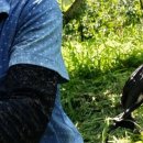 인선농장 이미지