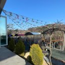 동정동055 | 창원 동정동 분위기 좋은 카페 추천 가족 나들이 산타 방문 후기