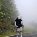 대영힐스CC 이미지