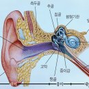 내이처럼 Daum카페