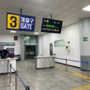 목포출발 애견동반 가능한 퀸제누비아호 승선후 제주여행 (차량선적 및 펫스탠다드룸 이용후기) 내돈내산
