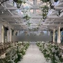 사천-동금-1-비상-6 | ❤️케이터틀 라페네홀 리뉴얼 대만족 후기❤️