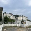 베라데로 | 태안 애견 펜션 | 베라데로 펜션 후기 | 태안 애견동반 카페 | 트레블브레이크커피 | 무창포해수욕장...