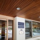 유전카프라자 | 용평리조트 드래곤밸리호텔 후기!_<용평루지/발왕산케이블카/조식/내돈내산>