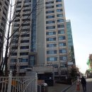 강남-275 Daum카페