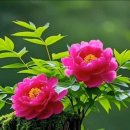 잠언의료기 이미지