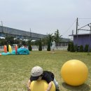 대구 아기랑 정말 가기 좋은 곳! 목장 053 후기 및 예약방법 :)