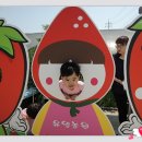 유영농장 이미지