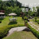 포천새벽종수영장애견계곡펜션